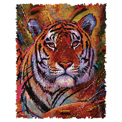 RETIRED TRANSFER-(10.5" x 14.5") 6PCS PACK TIGER PAINTED