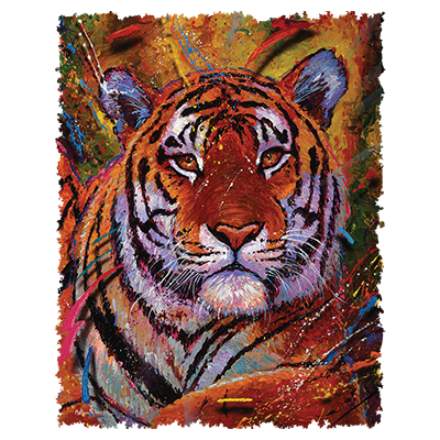 RETIRED TRANSFER-  (14.5" x 19) 12PCS PACK TIGER